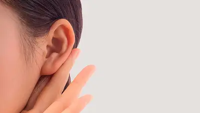 Oreja Oreja