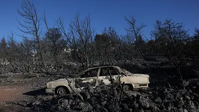 Un incendio afecta a suburbios de Atenas y deja al menos un muerto Un incendio afecta a suburbios de Atenas y deja al menos un muerto