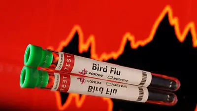 EEUU ampliará las pruebas de detección de la gripe aviar en la carne de vacuno de los mataderos EEUU ampliará las pruebas de detección de la gripe aviar en la carne de vacuno de los mataderos