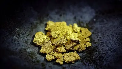 Alemania e Italia importan oro brasileño legalmente dudoso, según un estudio Alemania e Italia importan oro brasileño legalmente dudoso, según un estudio