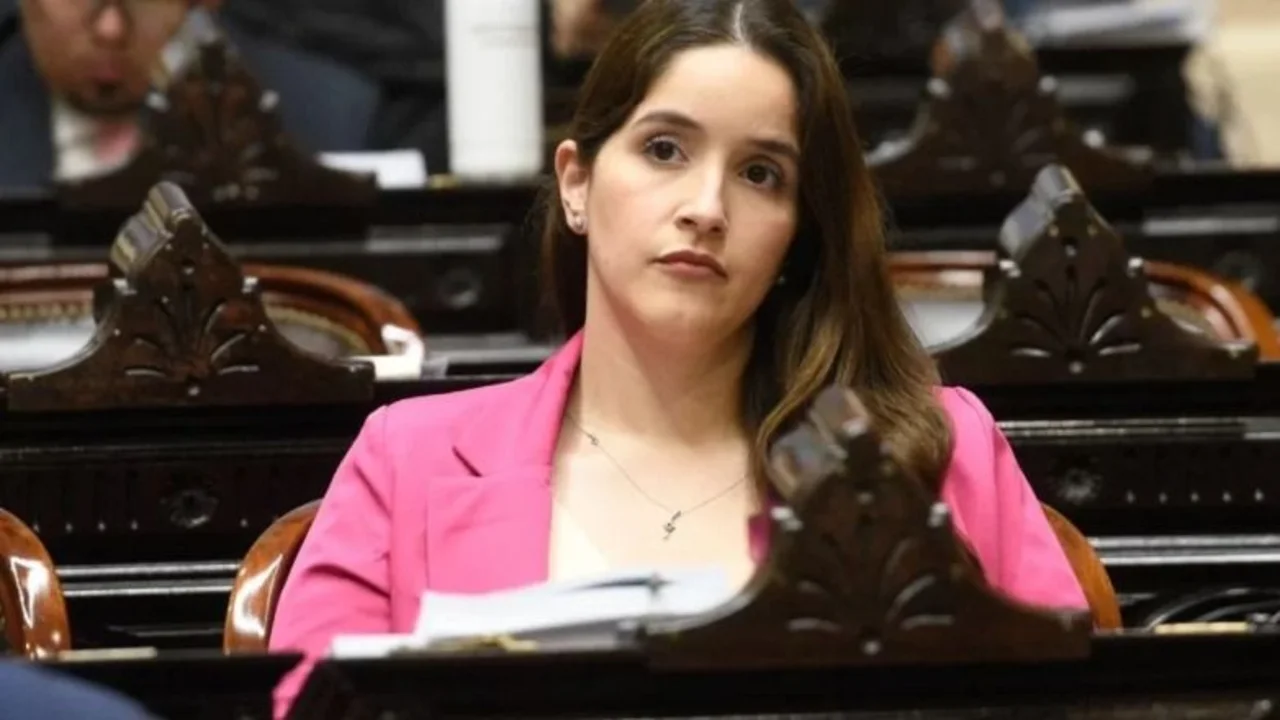 La diputada libertaria, Rocío Bonacci, se confundió y votó por su propia expulsión de la cámara  