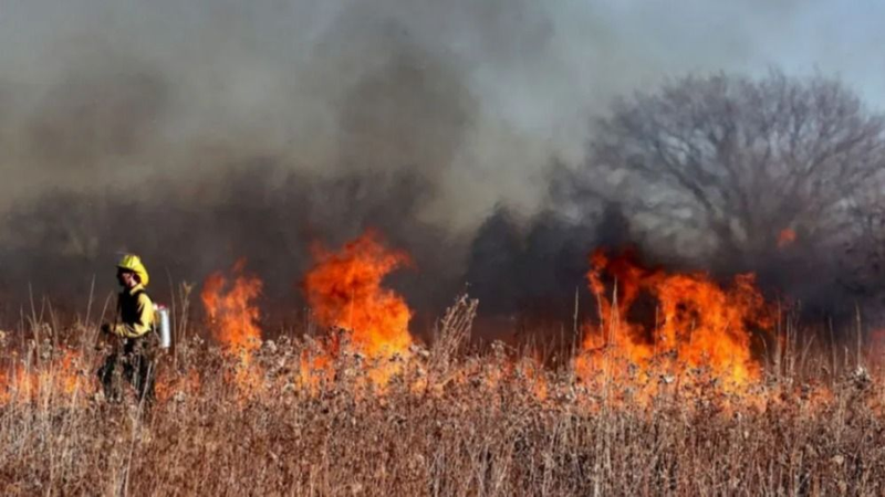 Qué pasó con el incendio forestal en Salta y cómo avanza el fuego en las zonas forestales de la provincia del norte.