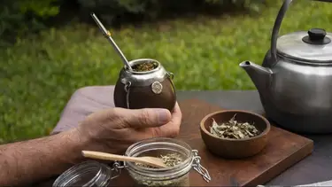 Se desploma el procesamiento de yerba y la industria sigue en crisis