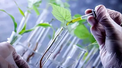 Ciencia y agricultura: el Gobierno redobla esfuerzos para proveer de insumos a los productores locales Ciencia y agricultura: el Gobierno redobla esfuerzos para proveer de insumos a los productores locales