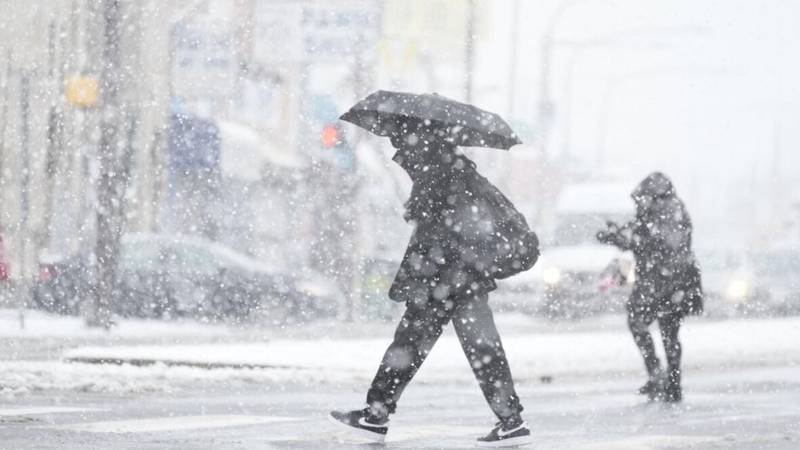 Clima nevadas