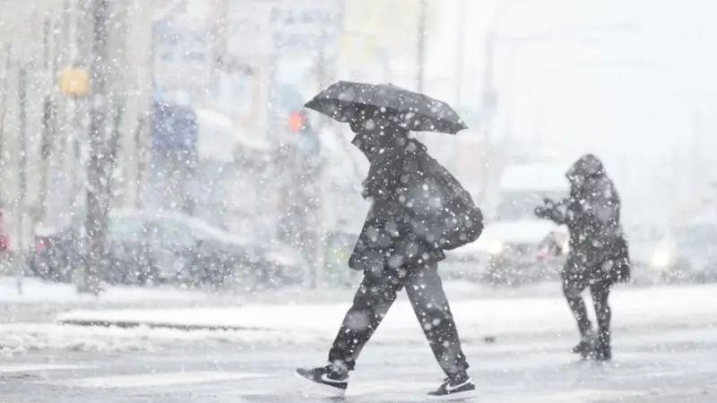 Clima nevadas