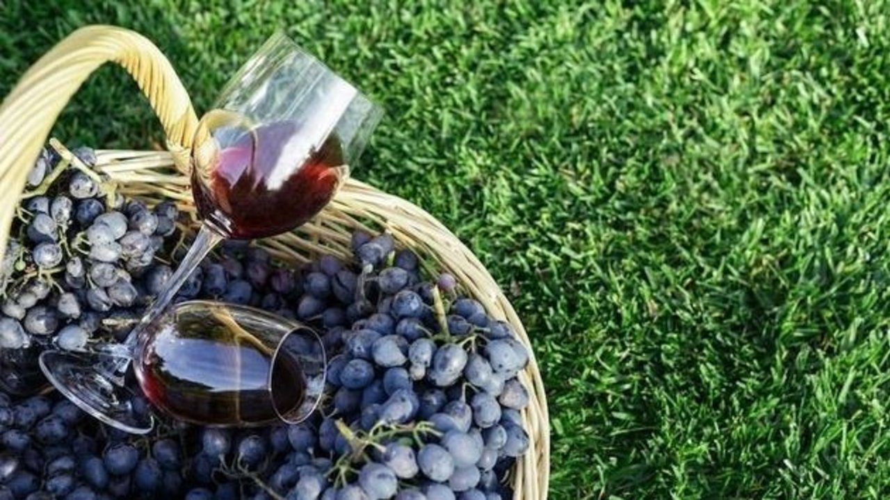 vino pinot noir.