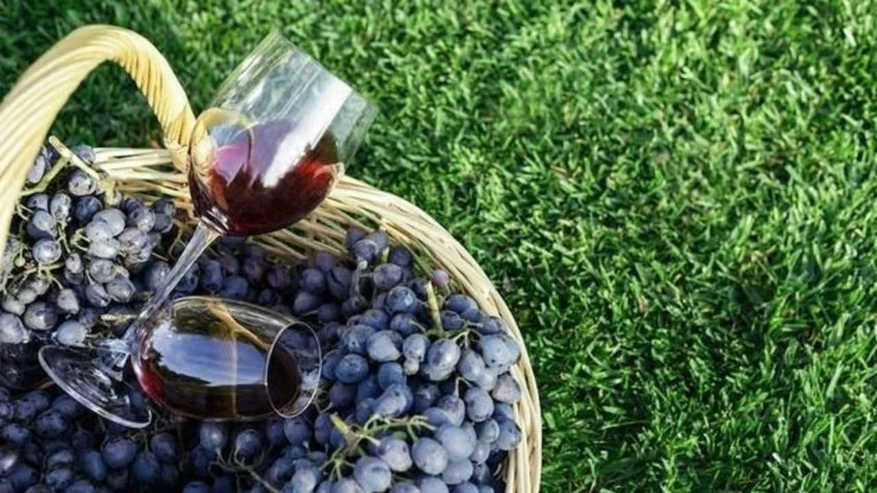 vino pinot noir.