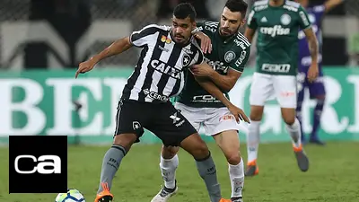 Palmeiras botafogo Palmeiras botafogo