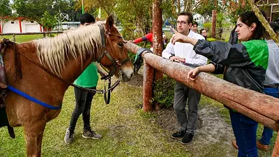 De qué se trata el Programa Provincial de Equinoterapia impulsado por el Gobierno de Formosa De qué se trata el Programa Provincial de Equinoterapia impulsado por el Gobierno de Formosa