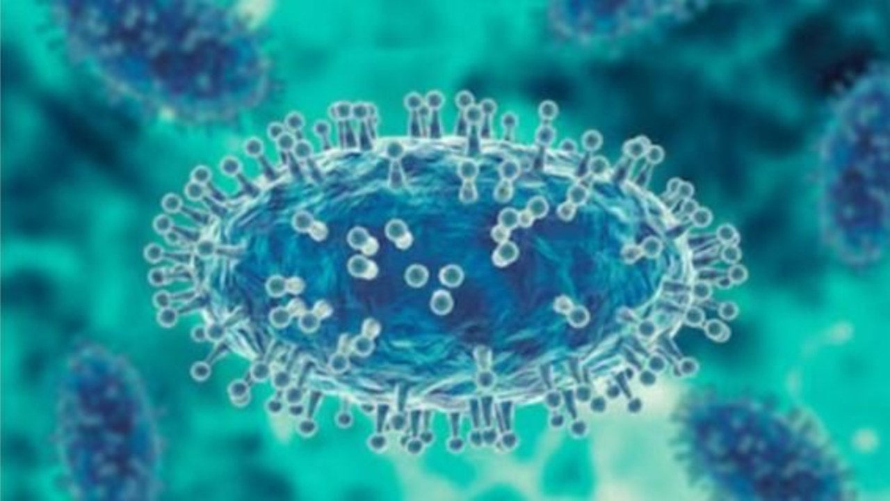 Qué pasó con el descubrimiento científico que demostró una nueva "forma de vida" en el cuerpo humano. 