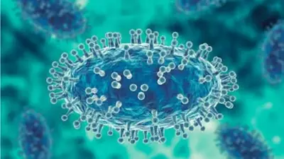 Qué pasó con el descubrimiento científico que demostró una nueva "forma de vida" en el cuerpo humano. Qué pasó con el descubrimiento científico que demostró una nueva "forma de vida" en el cuerpo humano.