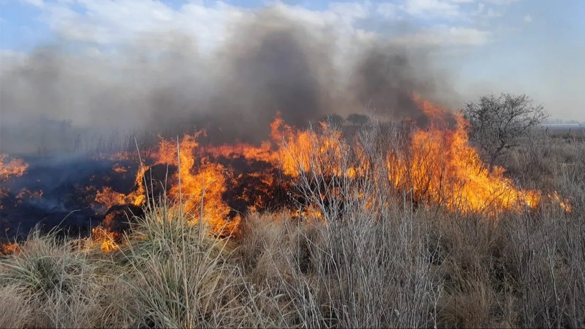 Riesgo de incendio extremo en Córdoba: autoridades advierten por la ...