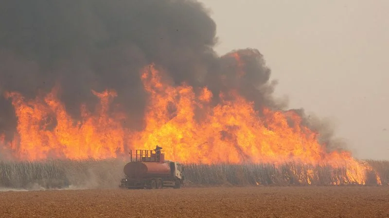 La banda criminal PCC es la principal sospechosa de provocar incendios en Brasil: funcionario