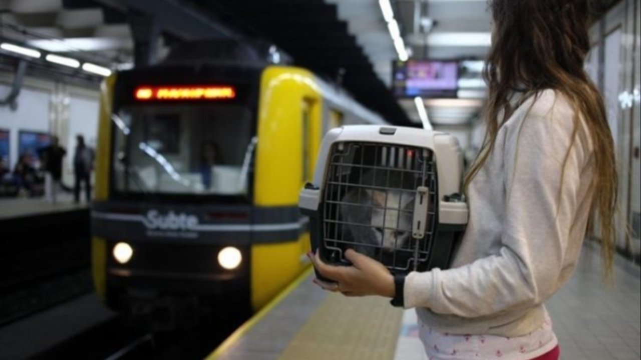 ¿Se puede viajar con un perro o un gato en subte en CABA?