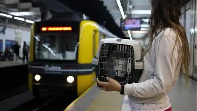 ¿Se puede viajar con un perro o un gato en subte en CABA? ¿Se puede viajar con un perro o un gato en subte en CABA?