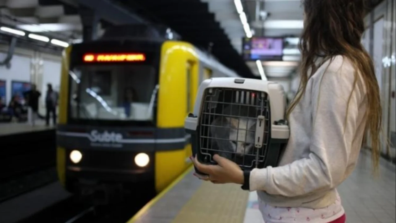 ¿Se puede viajar con un perro o un gato en subte en CABA?