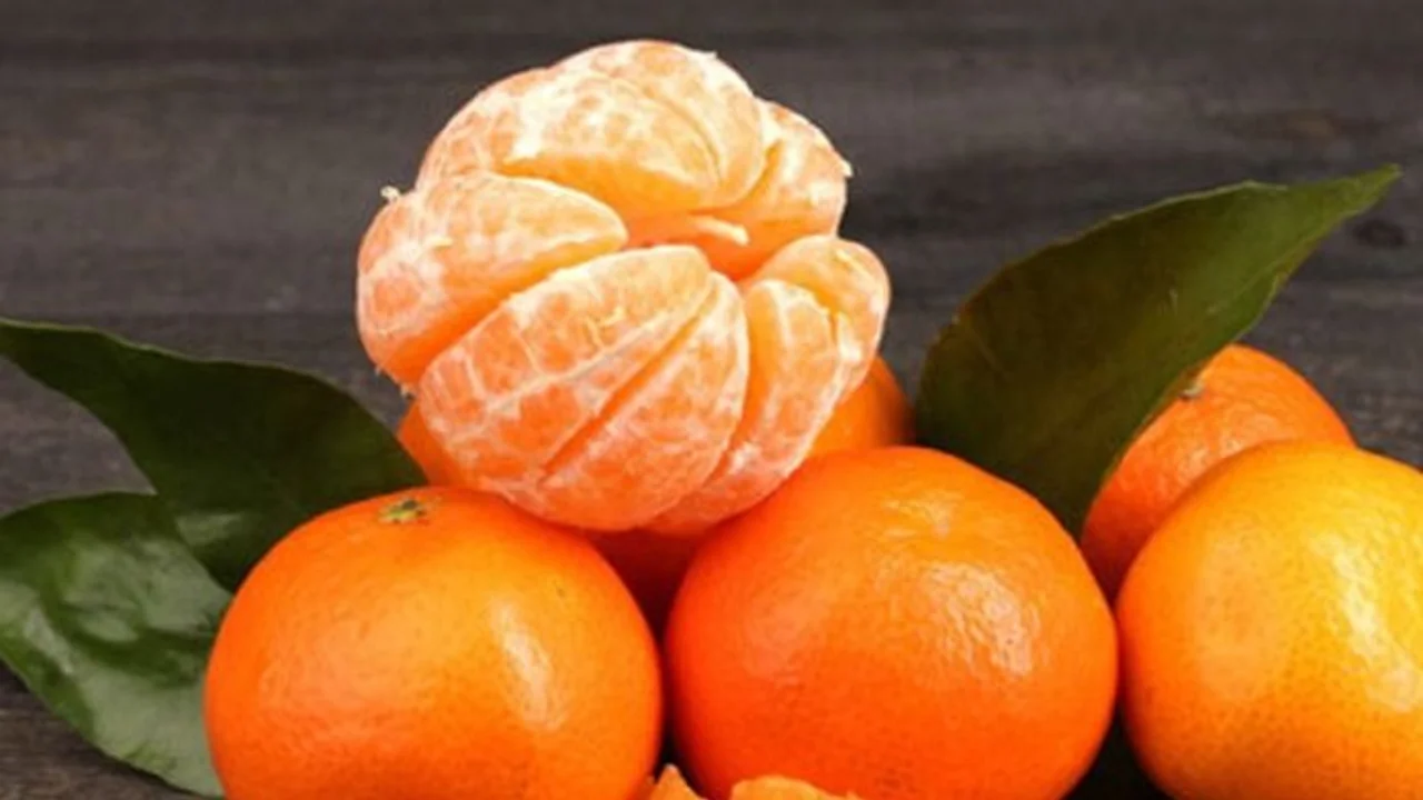 Qué pasó con las mandarinas y cuál son los beneficios nutricionales de consumirlas en temporada.