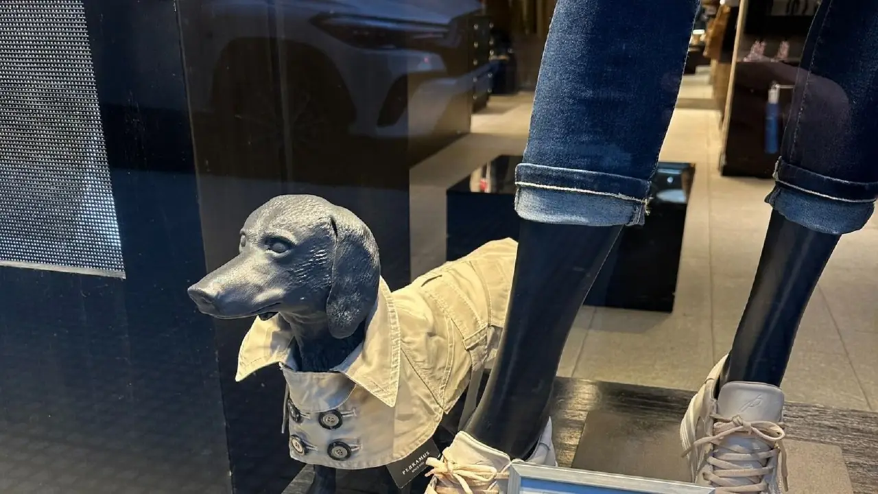 Ropa perro salchicha