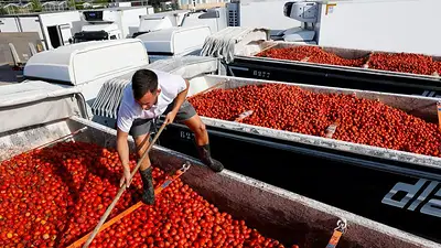 Un pueblo español se tiñe de rojo por la fiesta de la Tomatina Un pueblo español se tiñe de rojo por la fiesta de la Tomatina