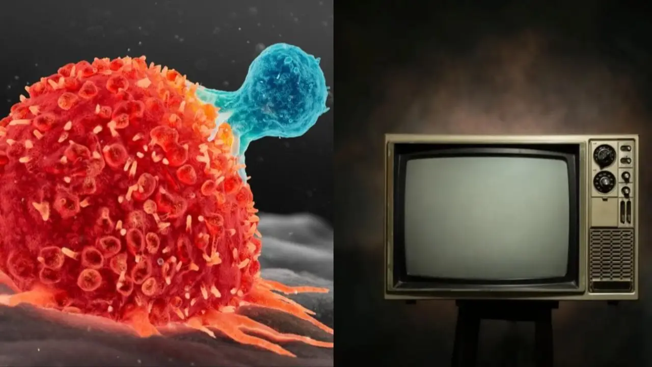 Cáncer. Televisión.