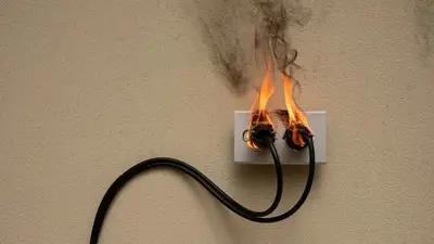 Electrodomésticos. Electrodomésticos.