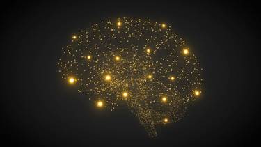 Cerebro de oro: estos son los´5 hábitos que te vuelven más inteligente y creativo, según expertos