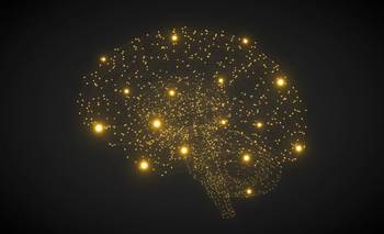 Cerebro de oro: 5 hábitos que te hacen más inteligente y creativo | Curiosidades
