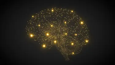 Cerebro de oro: estos son los´5 hábitos que te vuelven más inteligente y creativo, según expertos
