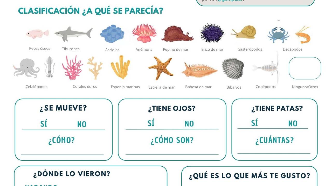 El "álbum de figuritas" del streaming del Conicet: crearon una ficha educativa descargable para los chicos