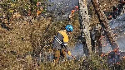 Fuego en Córdoba: bomberos luchan contra un incendio en Pampa Alta Fuego en Córdoba: bomberos luchan contra un incendio en Pampa Alta