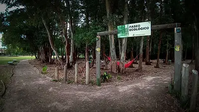 El pueblo mágico a pocos kilómetros que ofrece tremendos asados El pueblo mágico a pocos kilómetros que ofrece tremendos asados