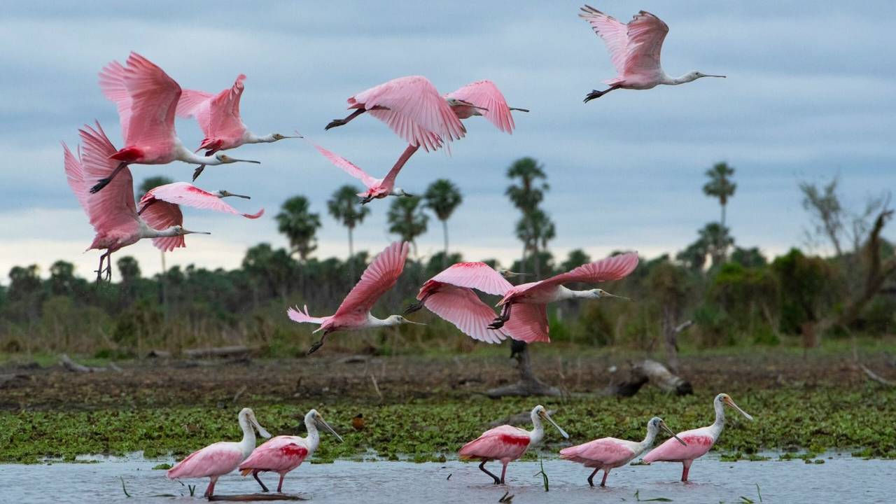 Deporte, música y naturaleza: así es la agenda turística de Formosa para agosto