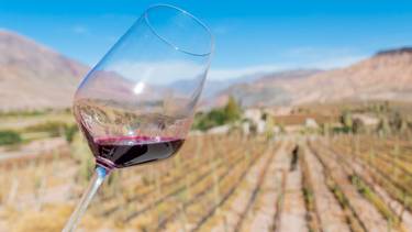 Llega el CyberWine 2025: cuándo es y cómo conseguir grandes ofertas en vino