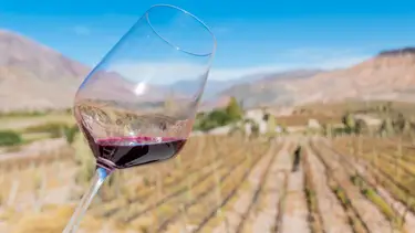 Llega el CyberWine 2025: cuándo es y cómo conseguir grandes ofertas en vino