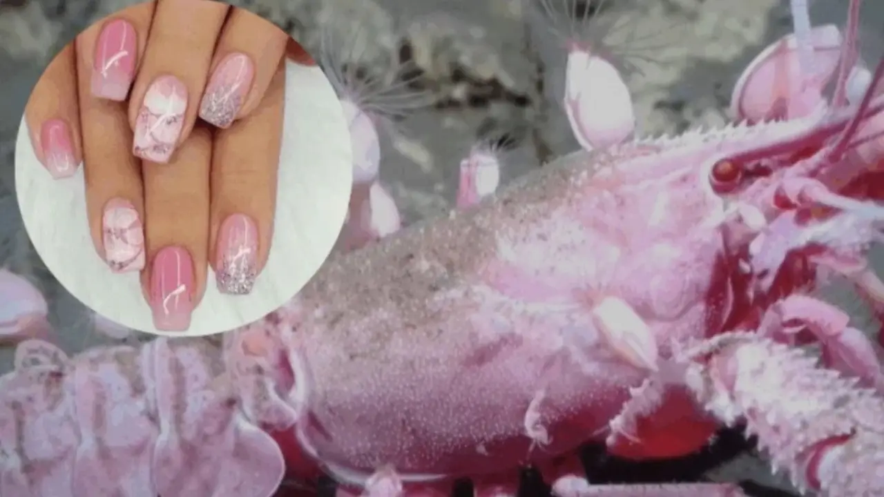 Cómo es la manicura marina.
