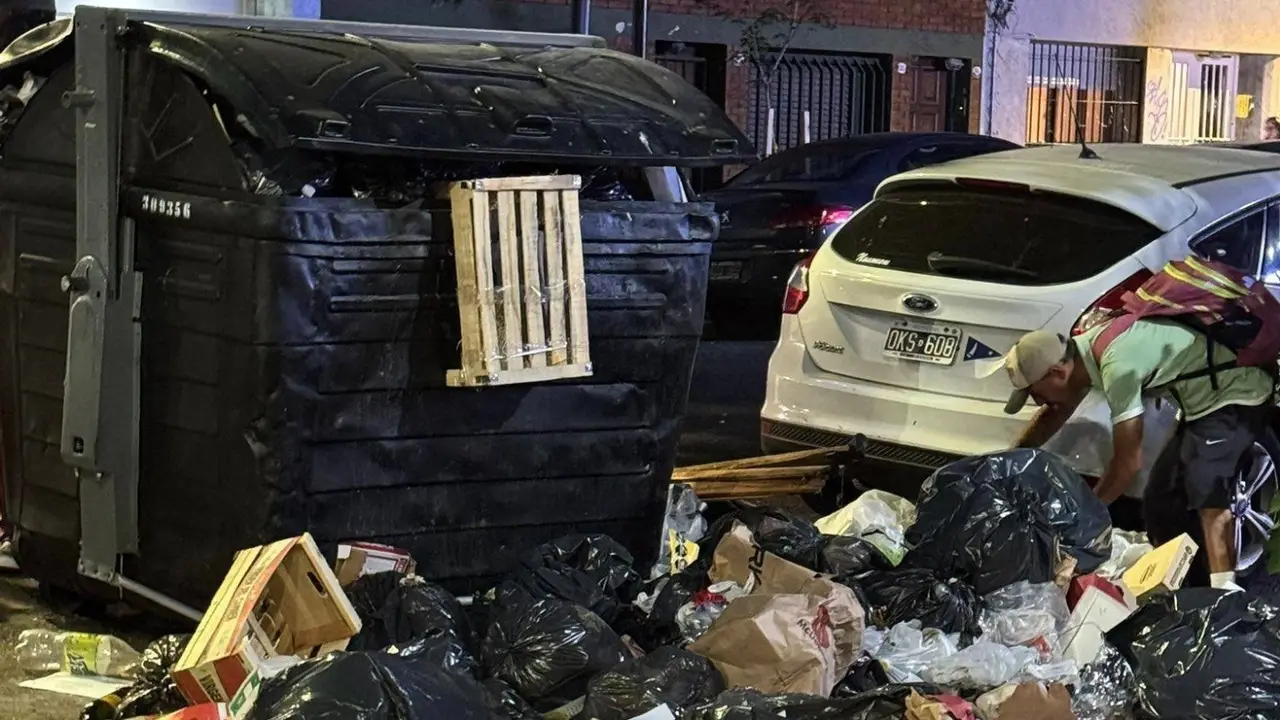 "Te gusta hurgar la basura?": Jorge Macri ordenó sancionar a quienes remuevan contenedores