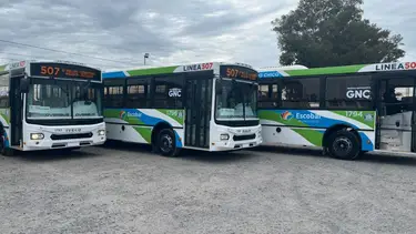 Cambio histórico en dos líneas de colectivos del AMBA: de qué se trata