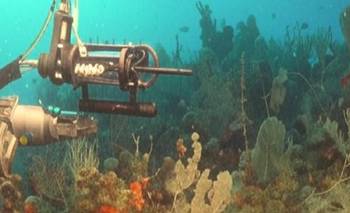 El robot que explora el abismo del Mar Argentino y muestra lo que nadie vio | Tecnología