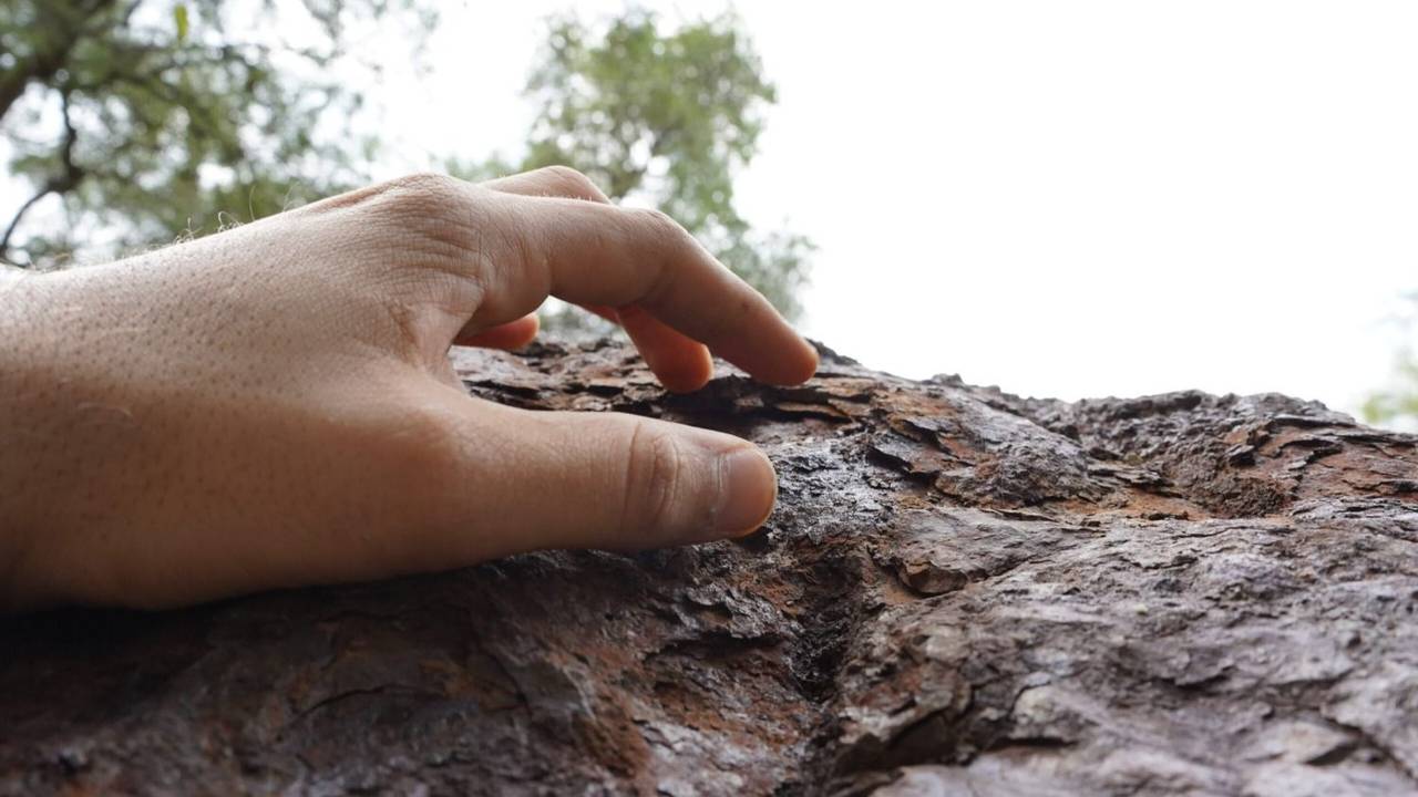 Cuál es el destino en Chaco que cuenta con un "tesoro" de la astronomía. Qué hacer en campo de cielo en Chaco. Por qué es histórico Campo de cielo en Chaco.