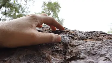 Turismo millonario: el destino de Argentina que esconde un "tesoro" aclamado por la ciencia: Oro del cielo