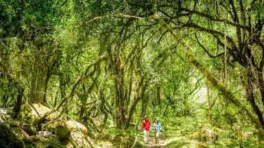 El paraíso tropical que se "esconde" en Argentina para una escapada