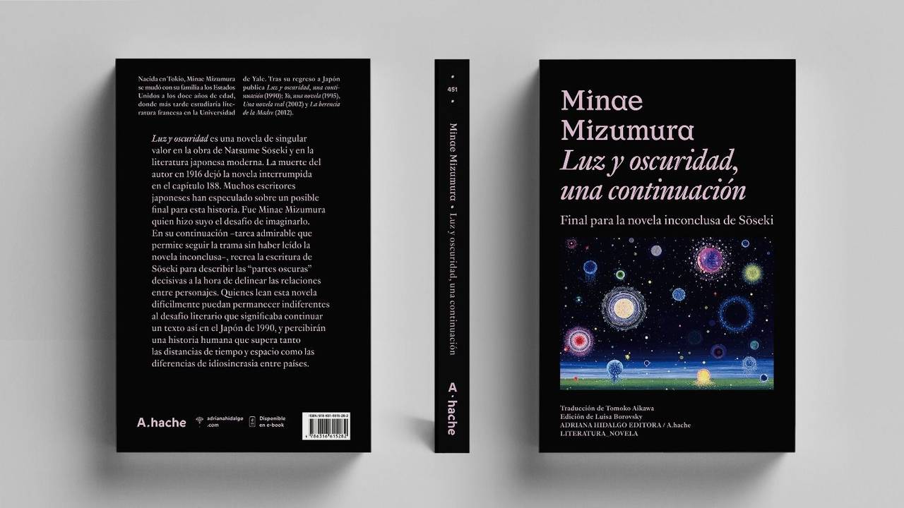Reseña de Luz y oscuridad, una continuación de Minae Mizumura. De qué trata Luz y oscuridad, una continuación de Minaer Mizumura.