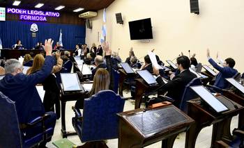 La Convención aprobó causas estratégicas en la constitución | Reforma constitucional