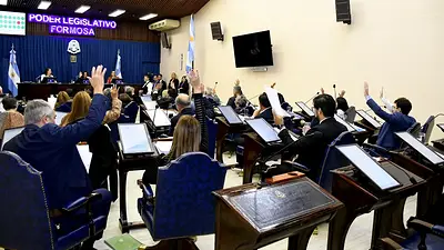 Avanza la reforma constitucional: la Convención Constituyente de Formosa aprobó causas estratégicas Avanza la reforma constitucional: la Convención Constituyente de Formosa aprobó causas estratégicas