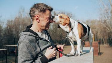 No es por cariño: una veterinaria reveló el verdadero motivo detrás de los "besos" de perros