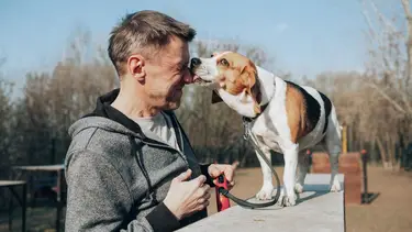 No es por cariño: una veterinaria reveló el verdadero motivo detrás de los "besos" de perros