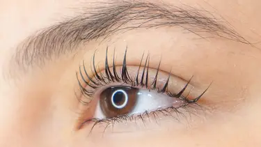 Extensiones y lifting de pestañas: la tendencia de belleza para invierno