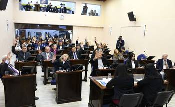 Identidad, ambiente y protección de datos: avanza la nueva Carta Magna | Reforma constitucional