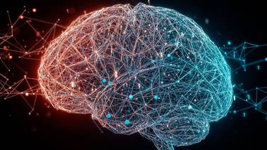Cómo cuidar tu salud cerebral: las mejores 5 recomendaciones y por qué prestarle atención